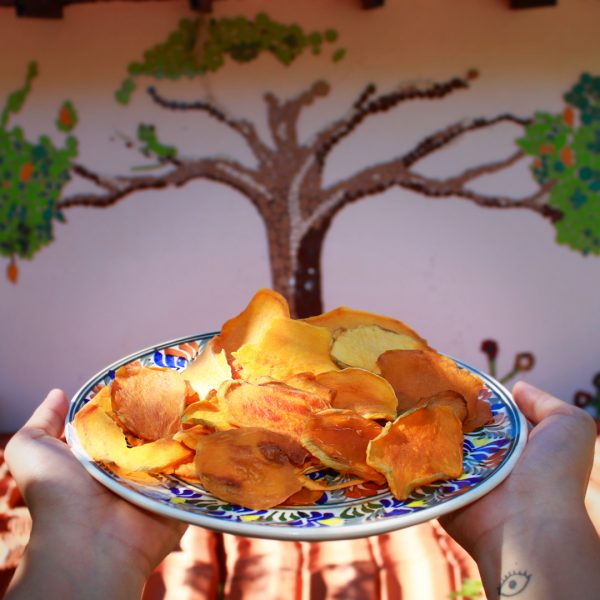 mango_4_trocitos