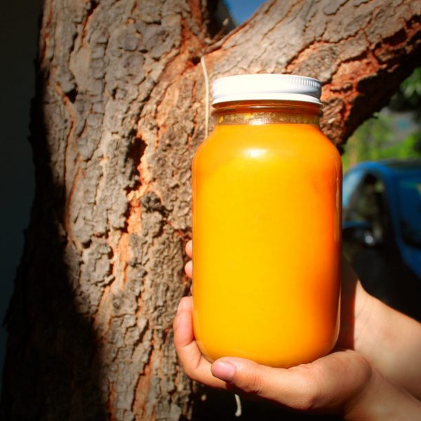 mango_5_grande